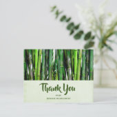 緑の竹茎自然撮影ありがとう ポストカード (スタンド正面)