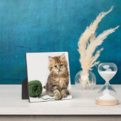 緑の糸の子猫 フォトプラーク (インサイチュ)