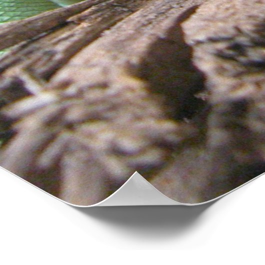 緑の紋付のバシリスク ポスター (角)