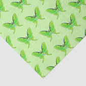 緑の緑の緑の緑の月淡い色のの蛾 薄葉紙 (詳細)