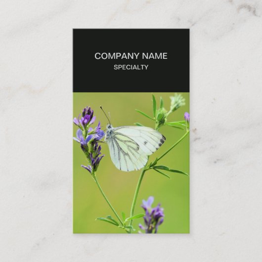 緑の縁取り白い蝶 名刺 (正面)