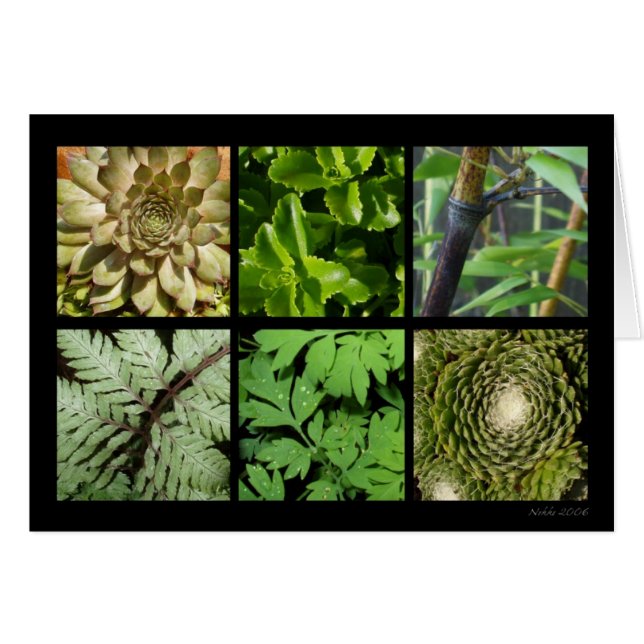 緑の群葉カード (正面横)