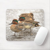 緑の羽をしたアヒルのかわいいトリオ マウスパッド (マウス)