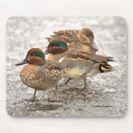 緑の羽をしたアヒルのかわいいトリオ マウスパッド (正面)