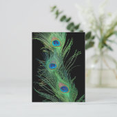 緑の羽(黒) ポストカード (スタンド正面)