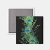 緑の羽（黒） マグネット (正面/裏面)