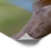 緑の翼を持つマカオを閉じる ポスター (角)