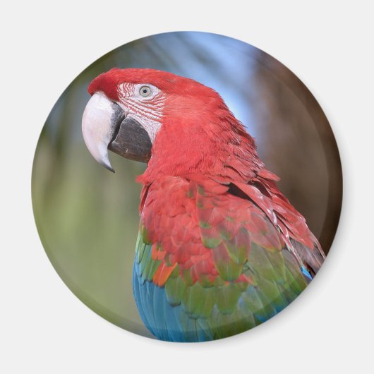 緑の翼を持つマカオを閉じる マグネット (正面)