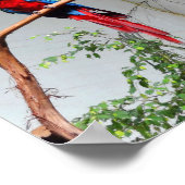 緑の翼を持つマカオ#2ポスター ポスター (角)