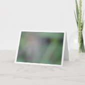 緑の背ぼやけ景 カード (正面)