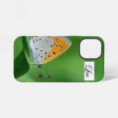 緑の背景と黄色と白の蝶とクモ iPhoneケース (裏面横)
