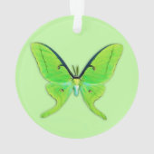 緑の背景に淡い色のある蛾 オーナメント (裏面)