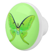 緑の背景に淡い色のある蛾 セラミックノブ (右)