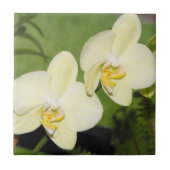 緑の背景に白い蘭 タイル (正面)