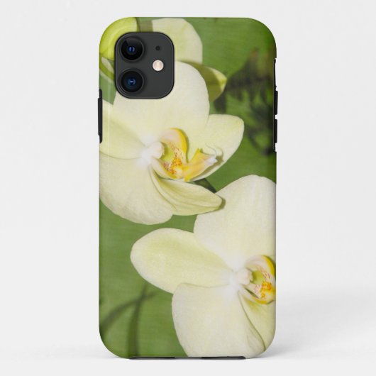 緑の背景に白い蘭 Case-Mate iPhoneケース (裏面)