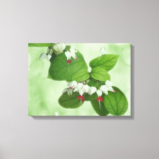 緑の背景に白と赤の明るい赤紫色の花 キャンバスプリント (正面)