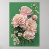 緑の背景に美しい白とピンクの芍薬 ポスター (正面)