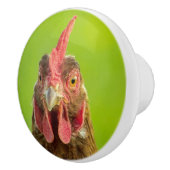 緑の背景のおもしろいな鶏のポートレート セラミックノブ (右)