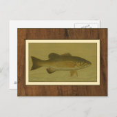 緑の背景のブラックベース ポストカード (正面/裏面)