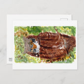 緑の背景はがき付き平和なフクロウ ポストカード (正面/裏面)