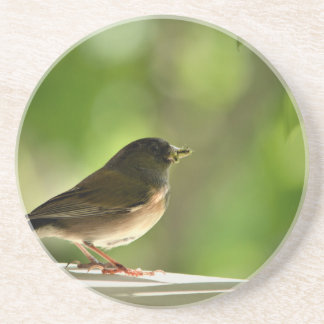 緑の背景葉の鳥 コースター