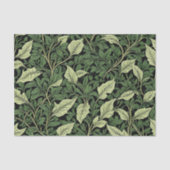 緑の色合いのつる植物のクラスター 薄葉紙 (正面)