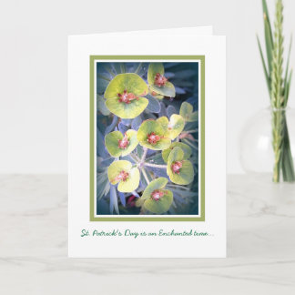 緑の色合い カード