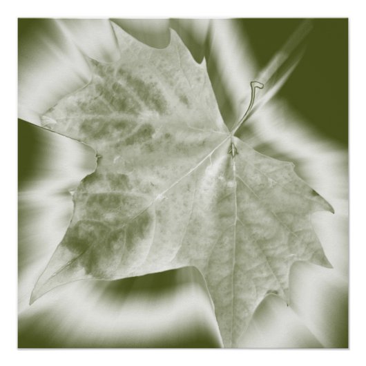 緑の色合い ポスター (正面)