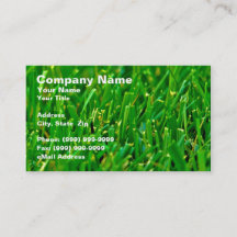 緑の芝生のクローズアップ