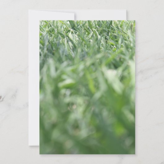 緑の芝生の写真、カジュアルな屋外パーティーやイベント 招待状 (裏面)