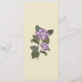 緑の花が咲くシンプル離れな紫 メニュー (裏面)