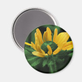 緑の花の黒によって注目されるスーザン マグネット (正面/裏面)