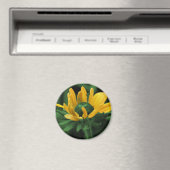 緑の花の黒によって注目されるスーザン マグネット (インサイチュ (食洗機))