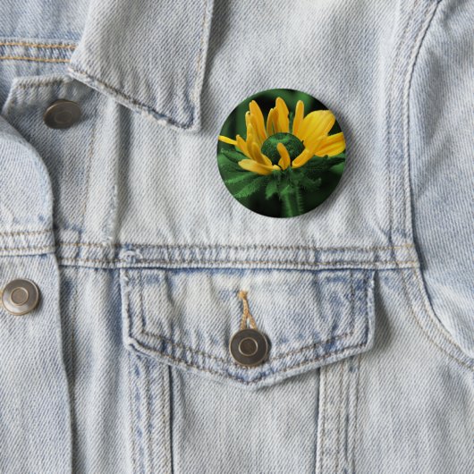 緑の花の黒によって注目されるスーザン 缶バッジ (インサイチュ)