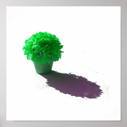 緑の花白いバケツと影 ポスター (正面)