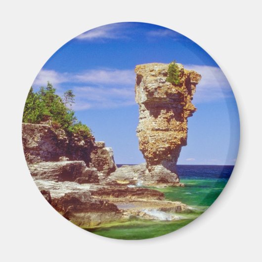 緑の花鉢島、トバーモリー、オンタリオの花 マグネット (正面)