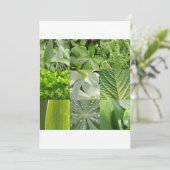 緑の花 (スタンド正面)