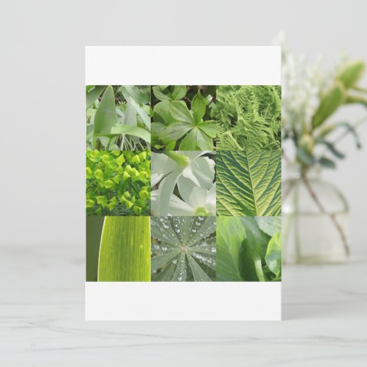 緑の花 (スタンド正面)