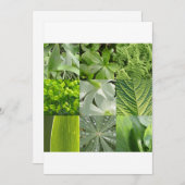 緑の花 (正面/裏面)