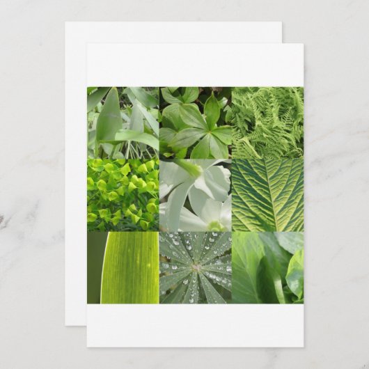 緑の花 (正面/裏面)