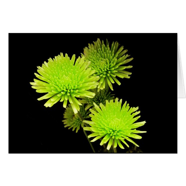 緑の花 (正面横)