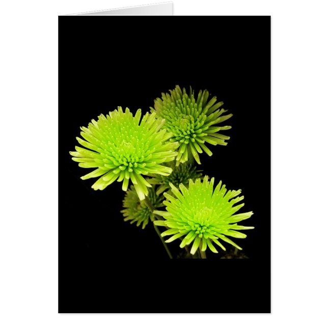 緑の花 (正面)