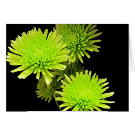 緑の花