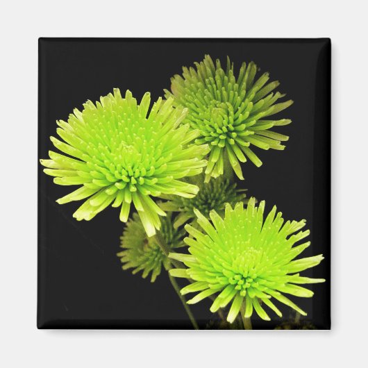 緑の花 マグネット (正面)