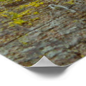 緑の苔のテクスチャと背景。抽象芸術、生きている ポスター (角)