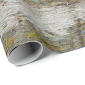 緑の苔のテクスチャと背景。抽象芸術、生きている ラッピングペーパー (ロールコーナー)