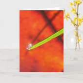 緑の草に落ちる露 継続する平穏 カード (黄色い花)
