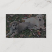 緑の草の上に横たわるかわいい子犬たち。 名刺 (裏面)
