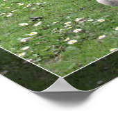 緑の草の上に野生のアヒルが2羽。風景動物 ポスター (角)