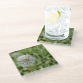 緑の草の上の白いタンポポの花 ガラスコースター (アングル)